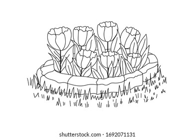 
Garden flower bed with tulips. Bouquet landing. Contour image. Design element. Vector illustration.