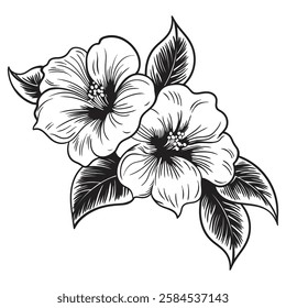 Garden flower. Linear vector drawing isolated on a white background.