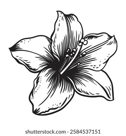 Garden flower. Linear vector drawing isolated on a white background.