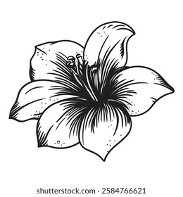 Garden flower. Linear vector drawing isolated on a white background.