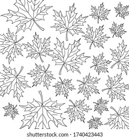 Garden flower, plants, Botanical, seamless pattern vector design for fashion, fabric, Wallpaper and all prints on color background.