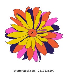 Garden flower. Vector illustration. Botanical drawing of flowering plant.