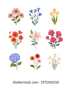 Garden flowers collection. Vector illustration of cartoon summer flowers: Tulip, Poppy, Lily, Peony, Chamomile, Gerbera, Hydrangea and Cornflower. Isolated on white