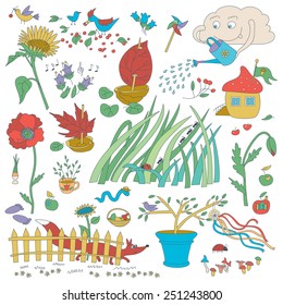 Garden Flowers And Decorations. Plants And Birds.