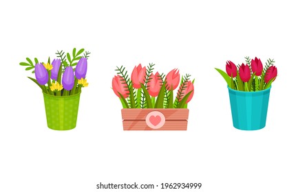 Garden Flowers in Different Containers and Fancy Pots Vector Set