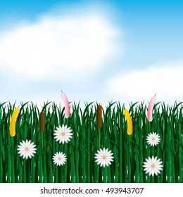 garden flowers and grass field vector illustration design