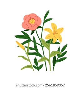 Garden flowers growing. Blossoms with beautiful petals, gentle buds, leaves, stems. Blooms, gorgeous spring floral plants. Botanical flat graphic vector illustration isolated on white background