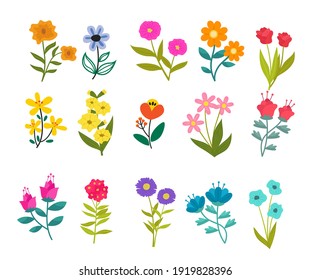 Garden flowers isolated on white vector set. Illustration of nature flower spring and summer in garden.