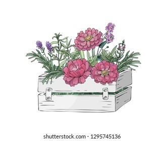 Garden flowers and leaves in a wooden box and farm fresh cooking herbs. Tarragon (silky wormwood), rosemary, lavender, zinnia, peony. Fresh cut flowers in floral sponge. Vector Isolated elements.