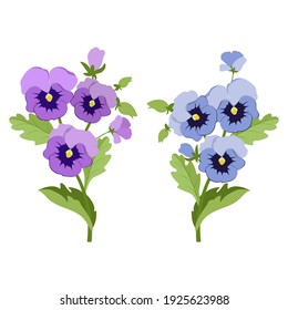 Garden flowers. Pansies, set on a white isolated background. For decorating postcards, web design.