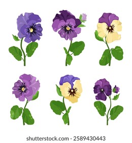 Garden flowers. Pansies, set on a white isolated background. For decorating postcards, web design.