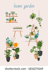 Garden, flowers and plants outdoor at home. Potted Plants Set Vector. Indoor Home, Office Modern Style Houseplants.