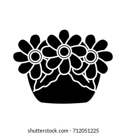garden flowers pot