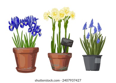 Garden flowers in a pot. Vector color sketch of summer and spring flowers on a white background.