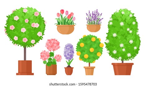 Garden Flowers In Pots Flat Vector Illustrations Set. Roses Bush, Tulips And In Flowerbed, Fruit Tree Isolated Design Elements Bundle. Potted Lilac And Lavender Blooming Plants On White Background.