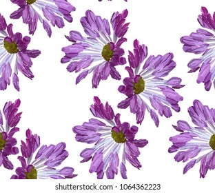 Garden flowers seamless pattern on white background. Botanical illustration hand drawn. Vector floral design for fashion prints, scrapbook, wrapping paper.