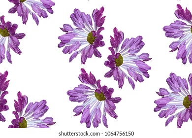 Garden flowers seamless pattern on white background. Botanical illustration hand drawn. Vector floral design for fashion prints, scrapbook, wrapping paper.