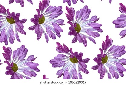 Garden flowers seamless pattern on white background. Botanical illustration hand drawn. Vector floral design for fashion prints, scrapbook, wrapping paper.