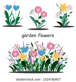 Garden flowers set, vector. Pink, blue, yellow colors. Perfectly for greeting floral design.