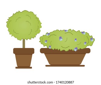 Gartenblumen und Sträucher. Elemente der Landschaftsgestaltung