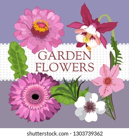 Garden flowers, vector