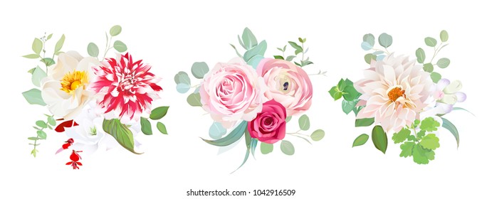 Garden flowers vector design bouquets.Red striped, creamy dahlia, pink ranunculus, rose flowers, freesia, eucalyptus greenery.Floral wedding borders composition. All elements are isolated and editable