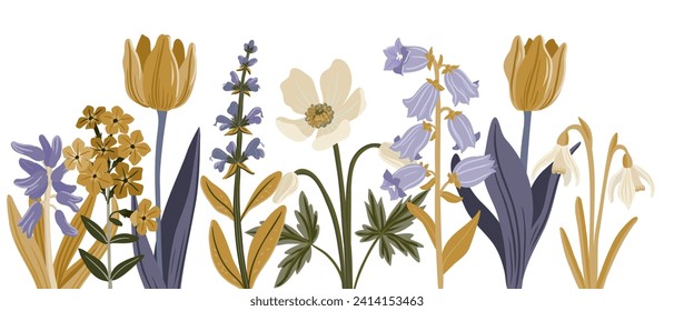 garden flowers, vector drawing flowering plants at white background, floral elements, hand drawn botanical illustration