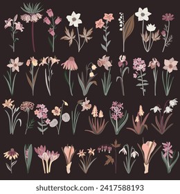 garden flowers, vector drawing flowering plants at dark background, floral elements, hand drawn botanical illustration