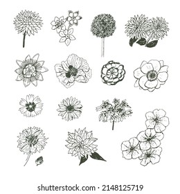 Conjunto de líneas de ilustraciones vectoriales de flores de jardín