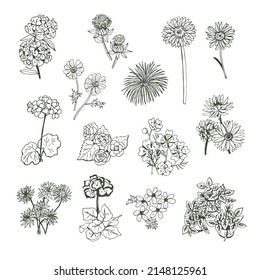 Gartenblumen, Vektorgrafik-Satz