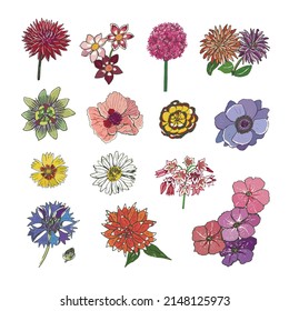 Conjunto de líneas de ilustraciones vectoriales de flores de jardín