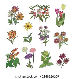 Gartenblumen, Vektorgrafik-Set