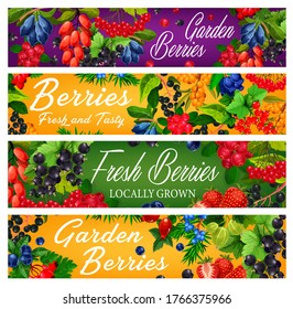 Garden and forest ripe berries vector banners. Blue and japanese honeysuckle, dogwood and rose hip, black, farm red currant, sea buckthorn, guelder rose and blueberry, juniper and gooseberry