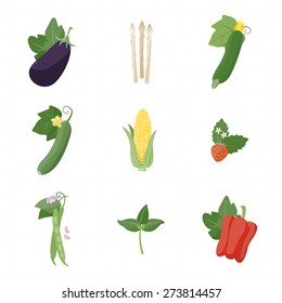 Garden fresh vegetables set on white background, including eggplant, asparagus, zucchini, corn, strawberry, beans, basil and bell pepper