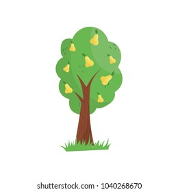 Garden fruit tree full of yellow pears. Agricultural plant. Concept of organic farm food. Natural product. Icon in cartoon style. Colorful flat vector design