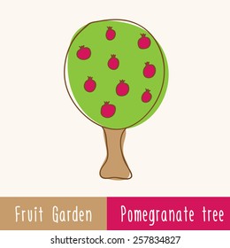 Garden fruit trees series - single pomegranate tree - hand-drawn doodles . Vector illustration of green pomegranate tree with red fruits.