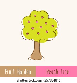 Garden fruit trees - single peach tree - hand-drawn doodles. Vector illustration.