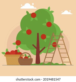 Garden with fruits tree and wood ladder. Harvest baskets full of red apples. Farming, rural life, orchard, agriculture and cultivation.