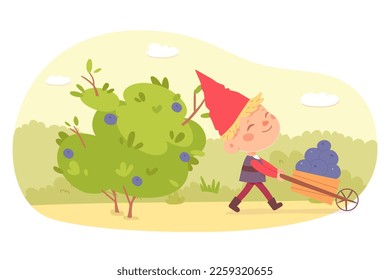 gnomo de jardín que lleva la ilustración vectorial de carretilla de madera. Escena de caricatura con feliz elfo de sombrero rojo recogiendo arándano de verano, divertido cuento de hadas personaje de jardinero jugando y sonriendo