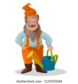 Garden gnome. Cartoon Characters Different Situations