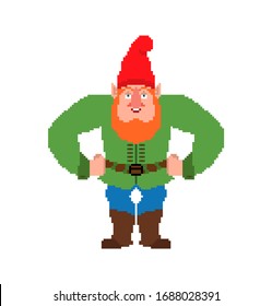 Garden gnome pixel art. dwarf 8 bit. Pixelate Vector illustration
