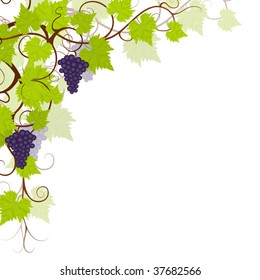 Garden grape vines frame.. Vector illustration.