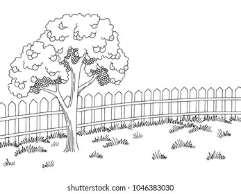 Garden graphic black white landscape apple tree sketch illustration vector