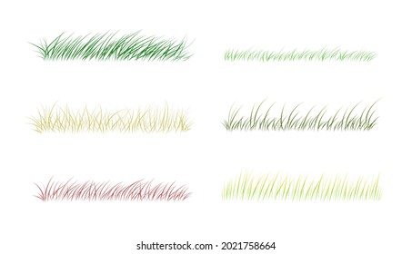 garden grass vector, dry grass