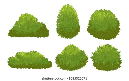 Drawing Trees and Bushes – Drawing from Line to Life