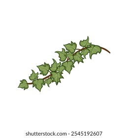 garden green ivy cartoon. outdoor indoor, decor ever, shade cover garden green ivy sign. isolated symbol vector illustration