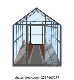 Garden greenhouse with bushes of ripe red tomatoes. Greenhouse frame made of glass. Isolated vector illustration on white background.