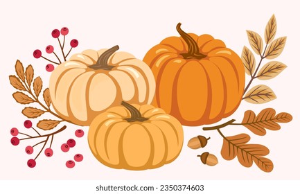 Garden harvest pumpkins, autumn leaves and berries, decorative composition.  Autumn festival invitation, postcard, banner. Vector illustration.