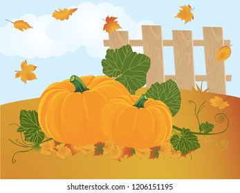 Garden harvest with vegetables. Pumpkin. Vector illustration.