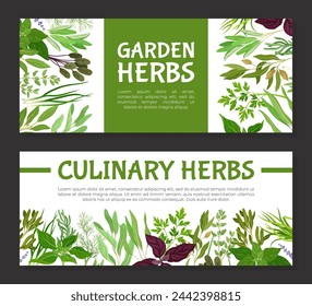 Garden Herb for Culinary Banner Design Vector Template